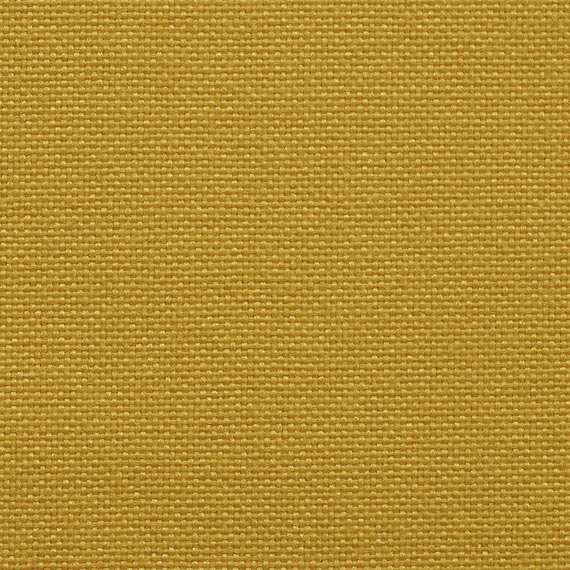 313 Yellow