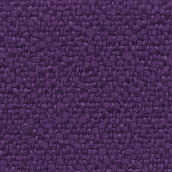 5004