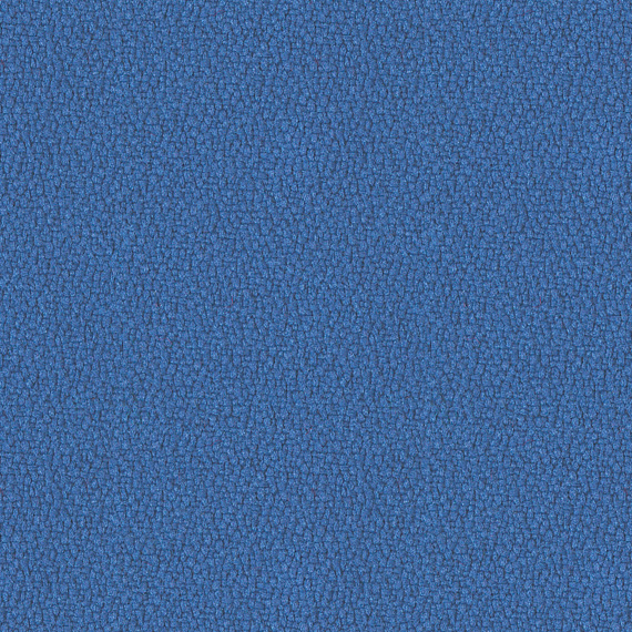 Fabric 01 Xtreme Bluefield YS021