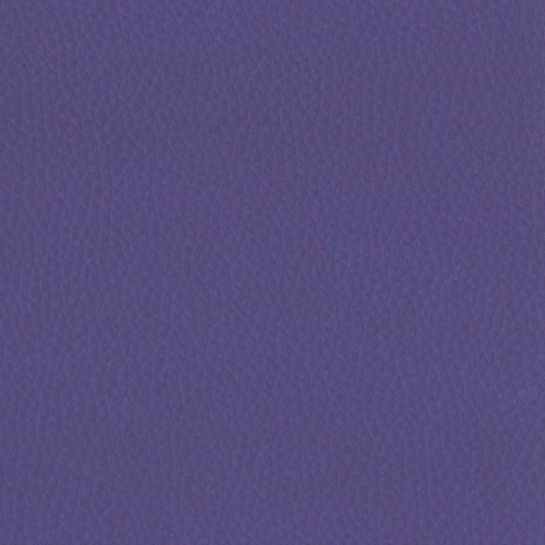 Fabric 02 Dollaro Amethyst 36