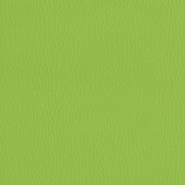 Fabric 02 Dollaro Apple Green 38