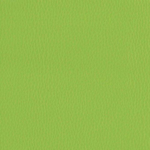 Fabric 02 Dollaro Apple Green 38