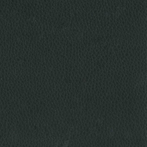 Fabric 02 Dollaro Black 01