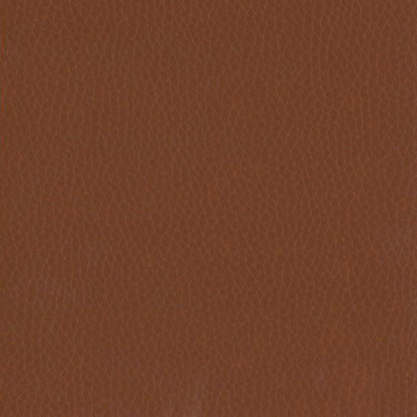 Fabric 02 Dollaro Chestnut 10