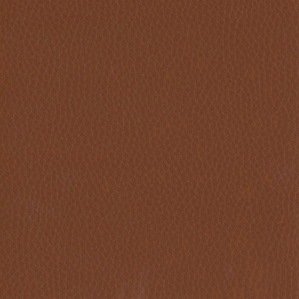 Fabric 02 Dollaro Chestnut 10