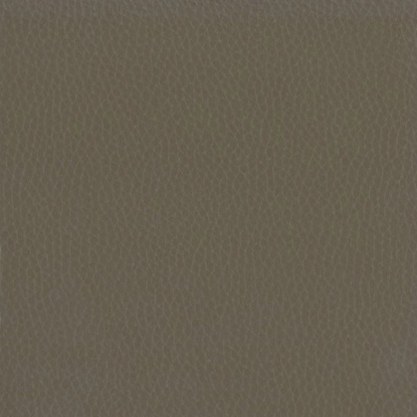 Fabric 02 Dollaro Fudge 30