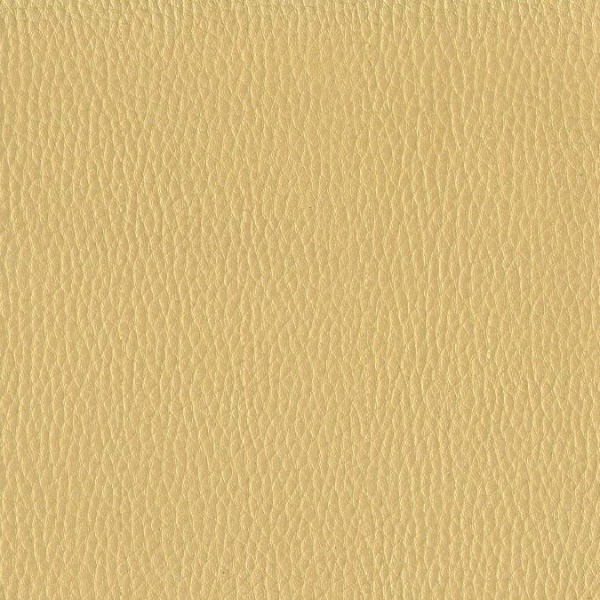 Fabric 02 Dollaro Gold 50