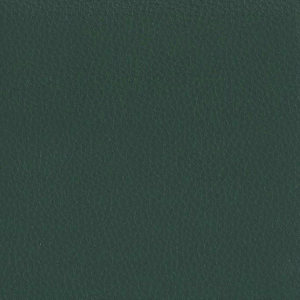 Fabric 02 Dollaro Green 11