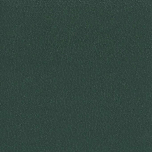 Stoff 02 Dollaro Green 11