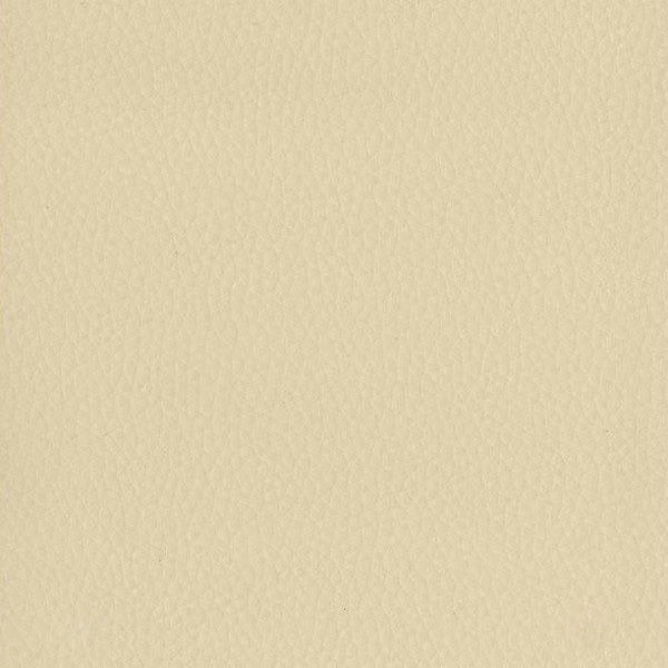 Fabric 02 Dollaro Ivory 29
