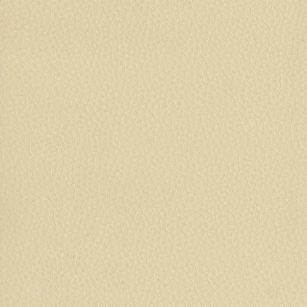 Fabric 02 Dollaro Ivory 29