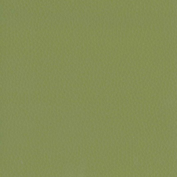 Fabric 02 Dollaro Olive 39