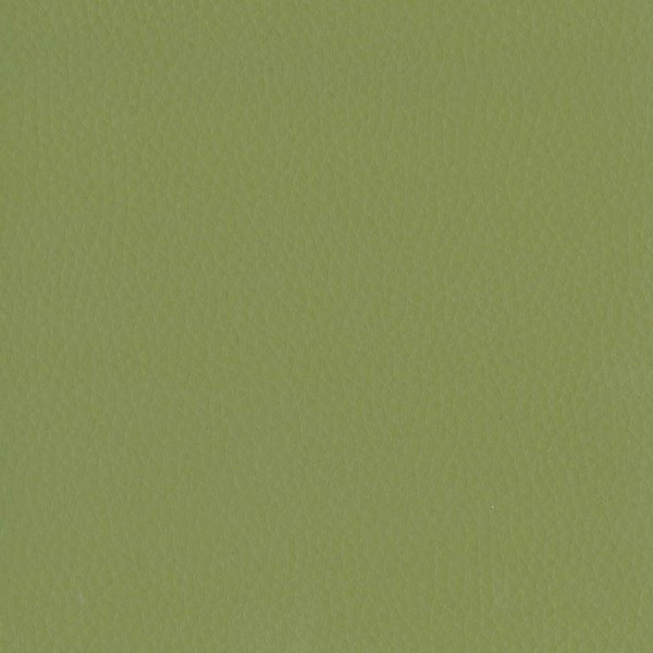 Tissu 02 Dollaro Olive 39