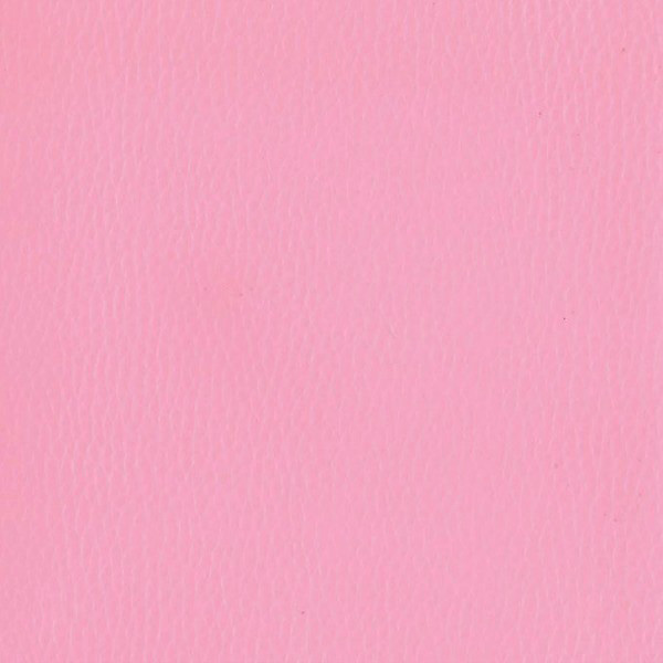 Fabric 02 Dollaro Pink 12