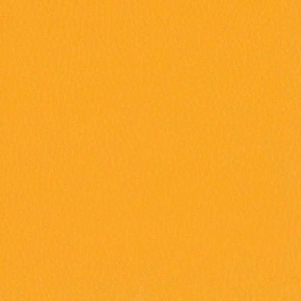 Fabric 02 Dollaro Pumpkin 33