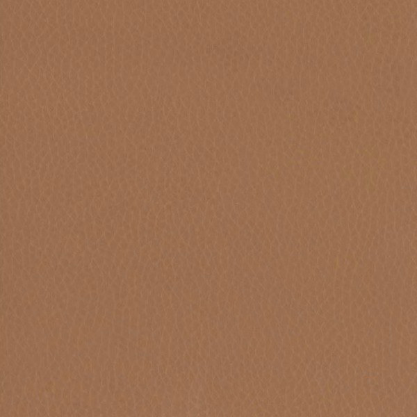 Fabric 02 Dollaro Tan 31