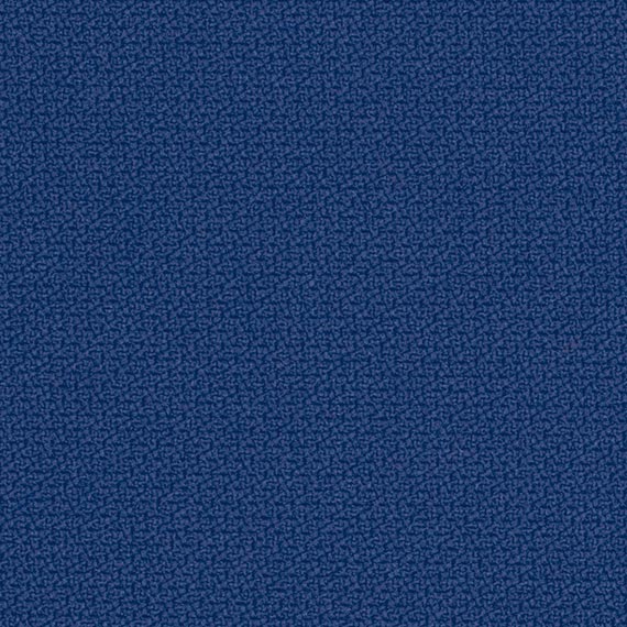 Fabric 02 Step 66149