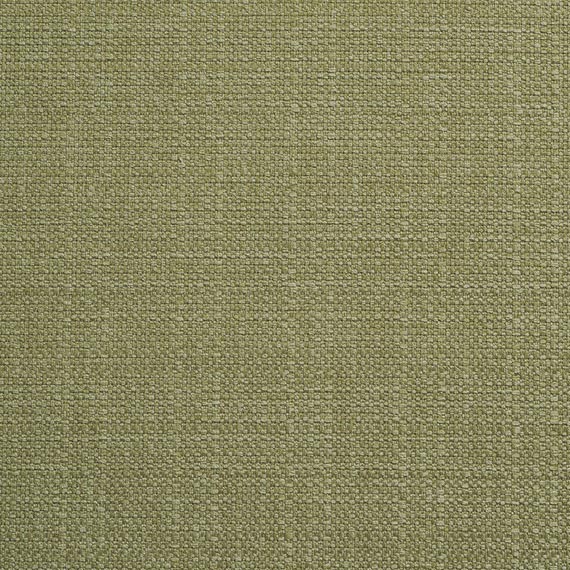 Fabric 04 Alba 209 Wasabi