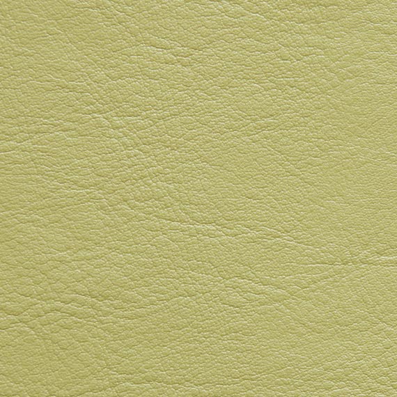 Fabric 04 Aston 233 Pistachio