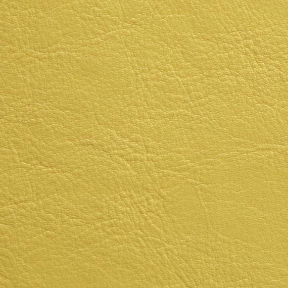 Fabric 04 Aston 238 Citrus