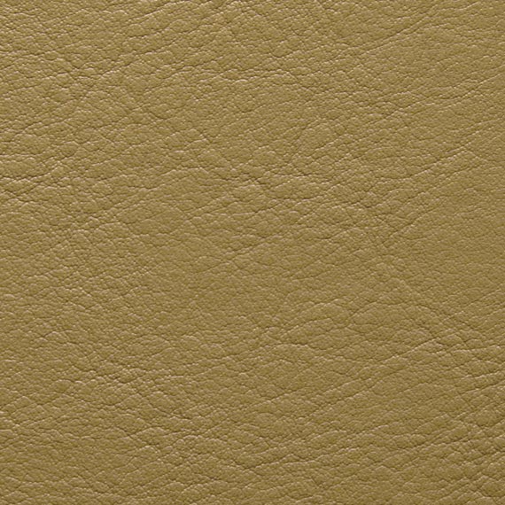 Fabric 04 Aston 300 Gold