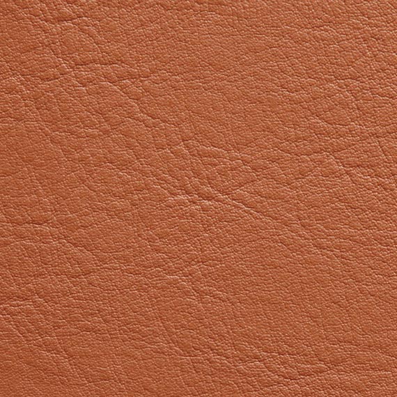 Fabric 04 Aston 411 Spice
