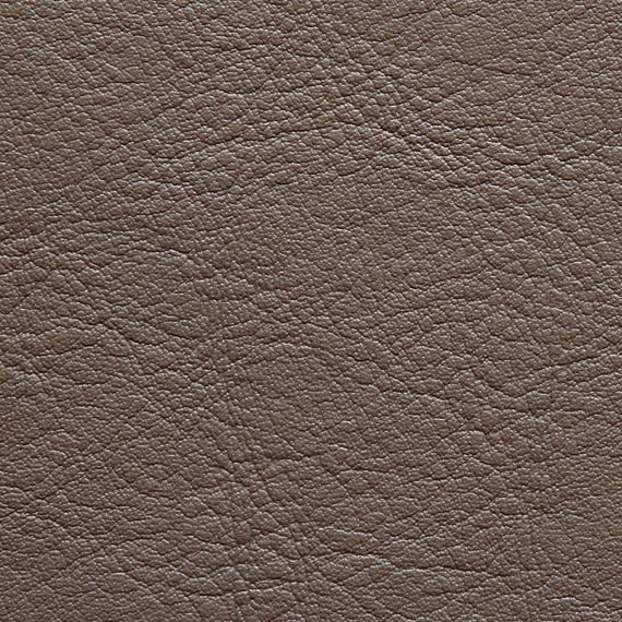 Fabric 04 Aston 703 Mink