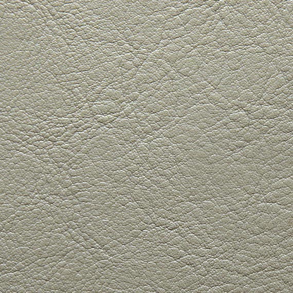 Fabric 04 Aston 905 Dove