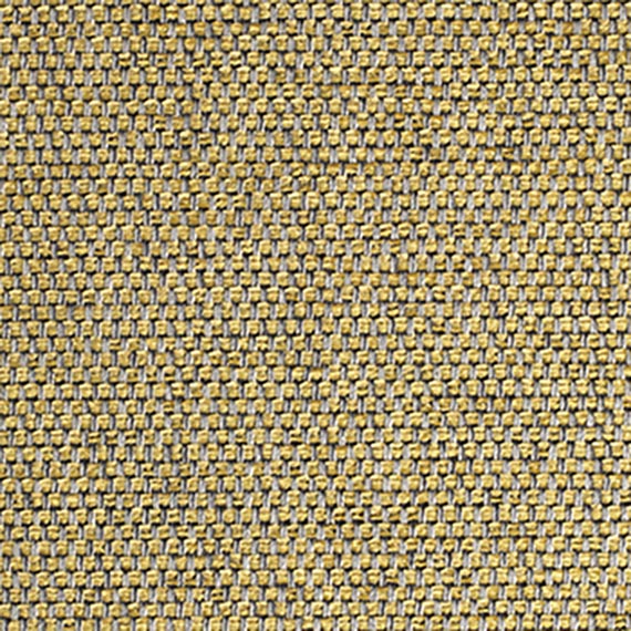 Fabric 05 Kiko Cumin 9805