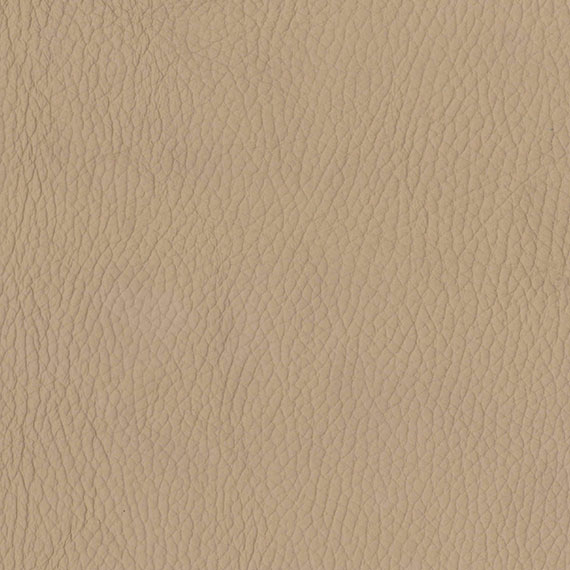 Fabric 12 Style Biscuit