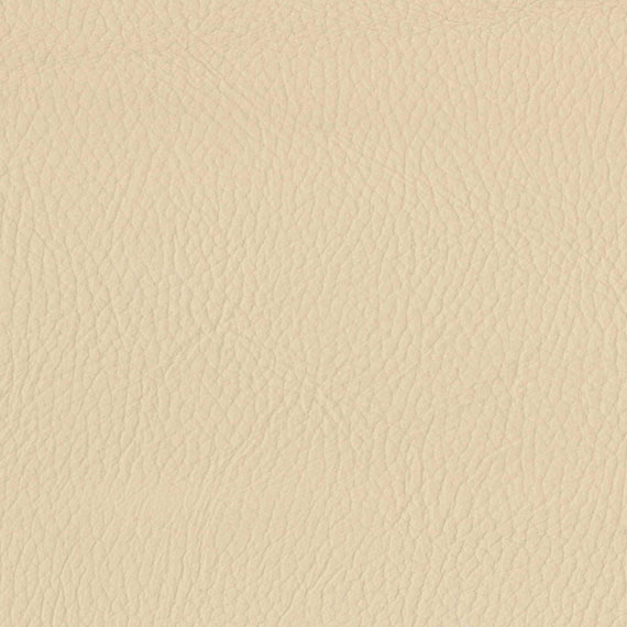 Fabric 12 Style Ivory