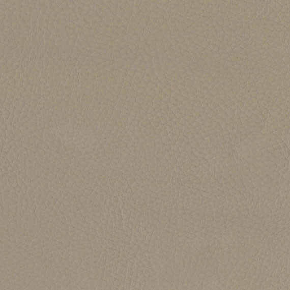 Fabric 12 Style Putty