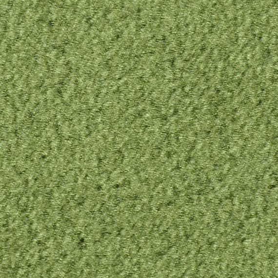 Moss